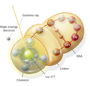 Illustration of LUTATHERA® (lutetium Lu 177 dotatate)