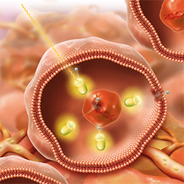 Illustration of LUTATHERA entering the cell.